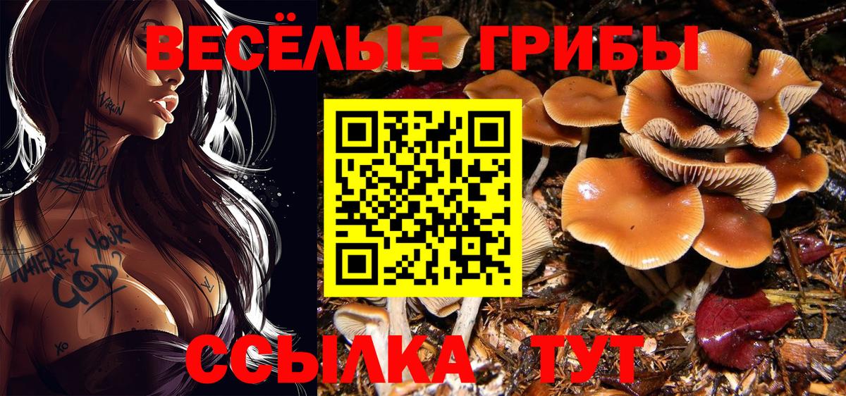 Псилоцибиновые грибы мухоморы Великий Устюг