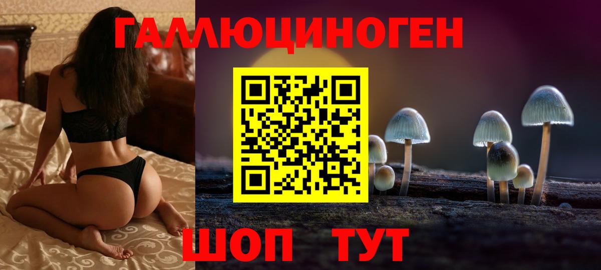 Псилоцибиновые грибы Psilocybe Великий Устюг