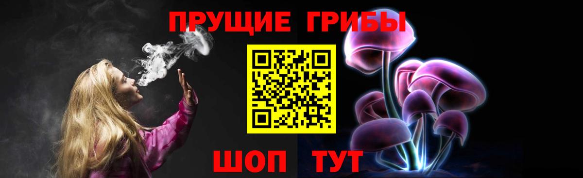 Галлюциногенные грибы Magic Shrooms  Галлюциногенные грибы Psilocybine cubensis  Великий Устюг 