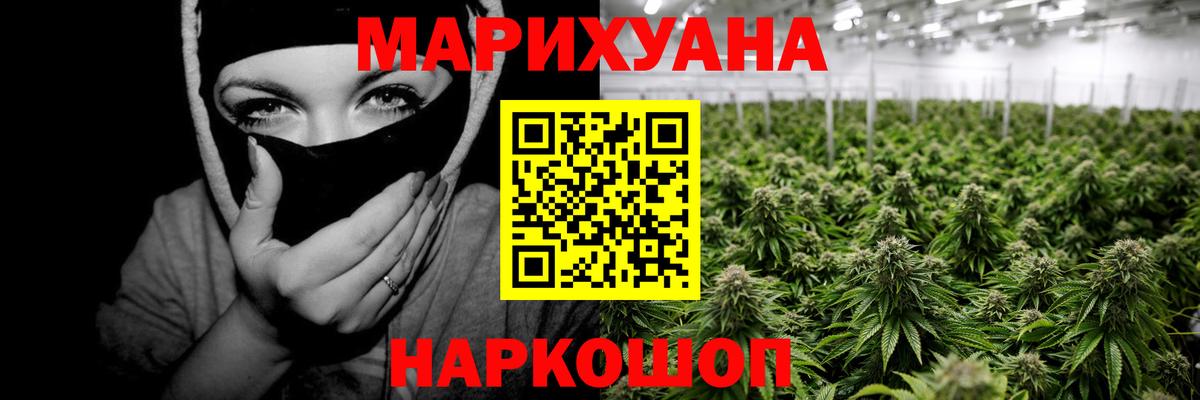 Каннабис Amnesia  Бошки Шишки гибрид  Великий Устюг  Вход с VPN  Каннабис план 